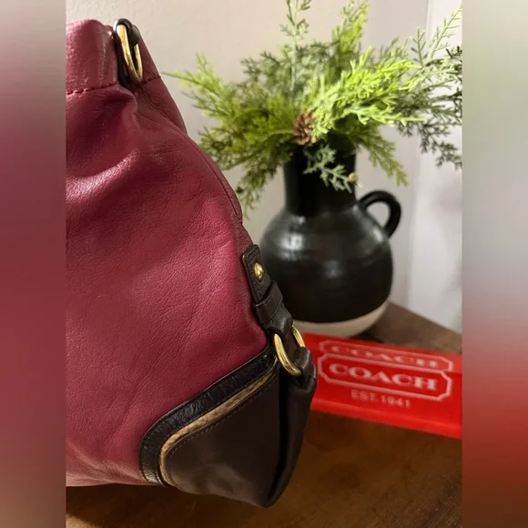 Coach Ashley Shoulder/Crossbody Bag - Picture 5 of 16